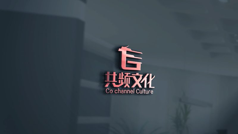 新手做短视频代运营加盟：五大关键步骤揭秘